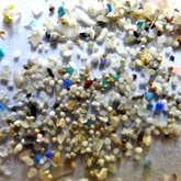 A close-up look at hundreds of microplastic particles. A close-up look at hundreds of microplastic particles.