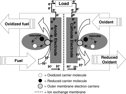 Microbial fuel cell.